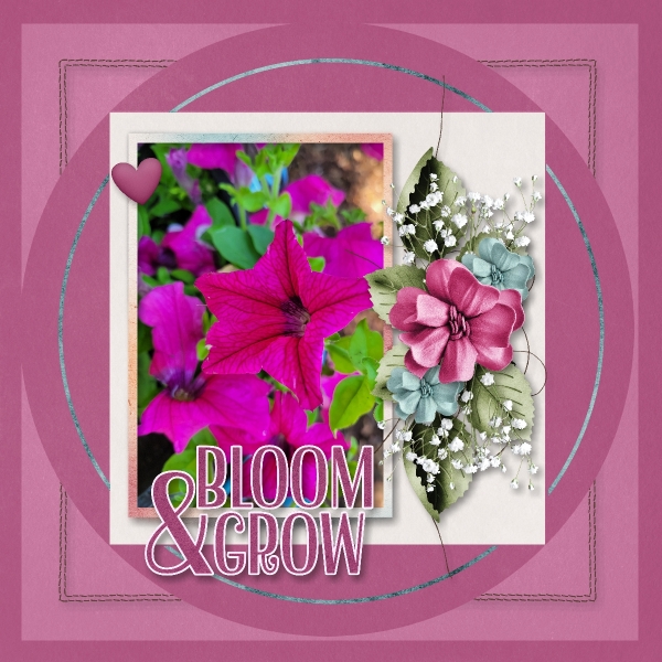 Bloom and Grow