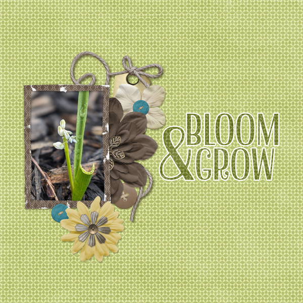 Bloom and Grow