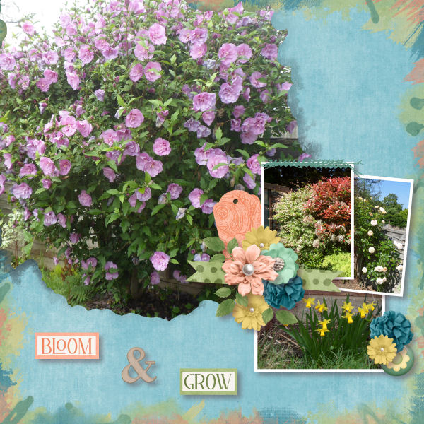 Bloom and Grow