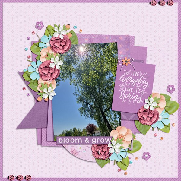 bloom-and-grow