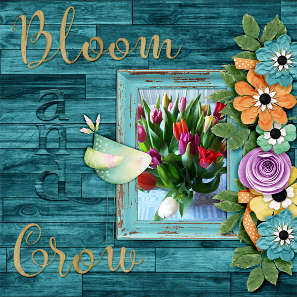 Bloom-and-grow11