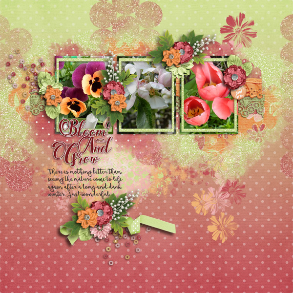 Bloom-and-grow3