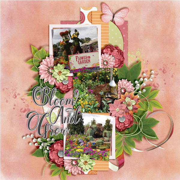 Bloom-and-Grow5
