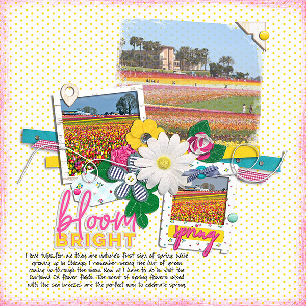 bloom bright