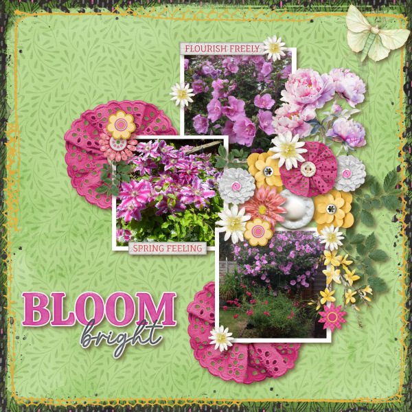 Bloom Bright