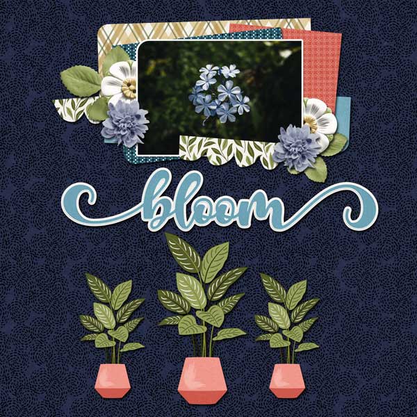 bloom-gather-scrapchat.jpg