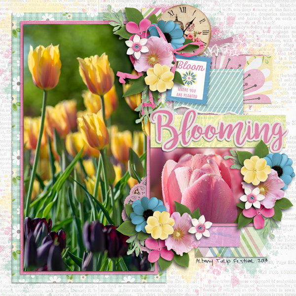Bloom + Grow 2013