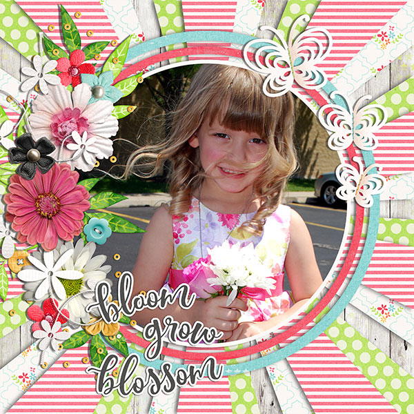 bloom grow blossom