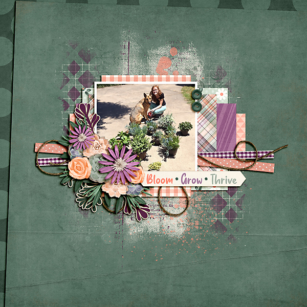 Bloom Grow Thrive