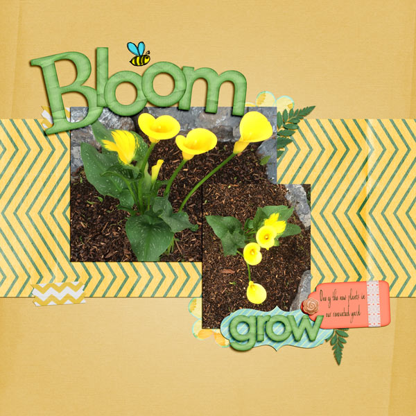 Bloom + Grow