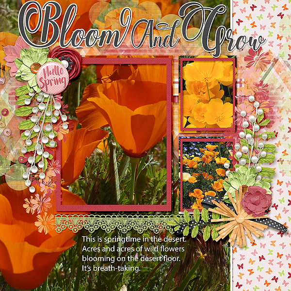 Bloom + Grow