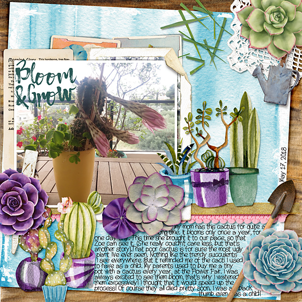 Bloom + Grow