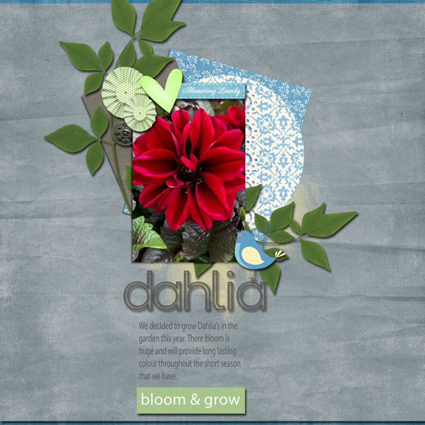 BLOOM + GROW