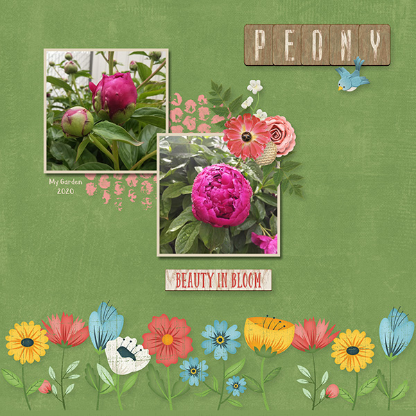 Bloom + Grow