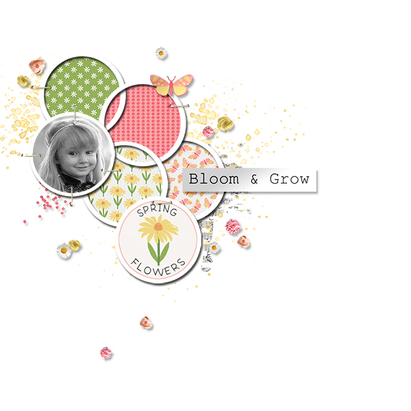 bloom + grow