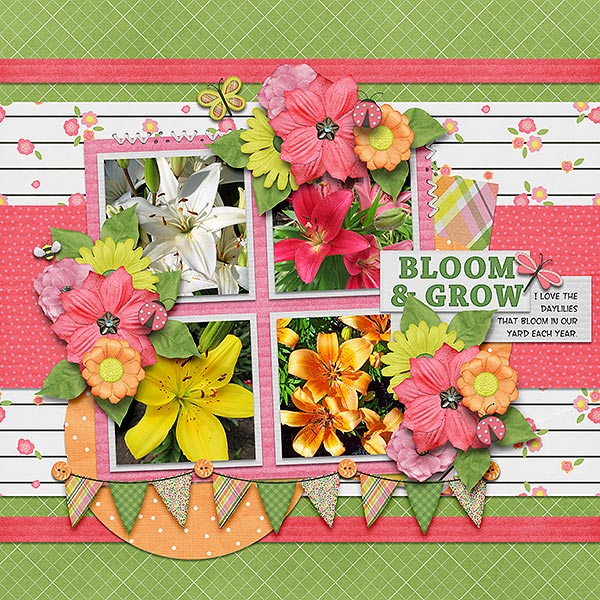 bloom + grow