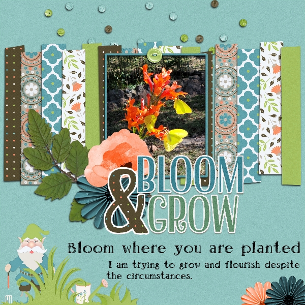 Bloom + Grow