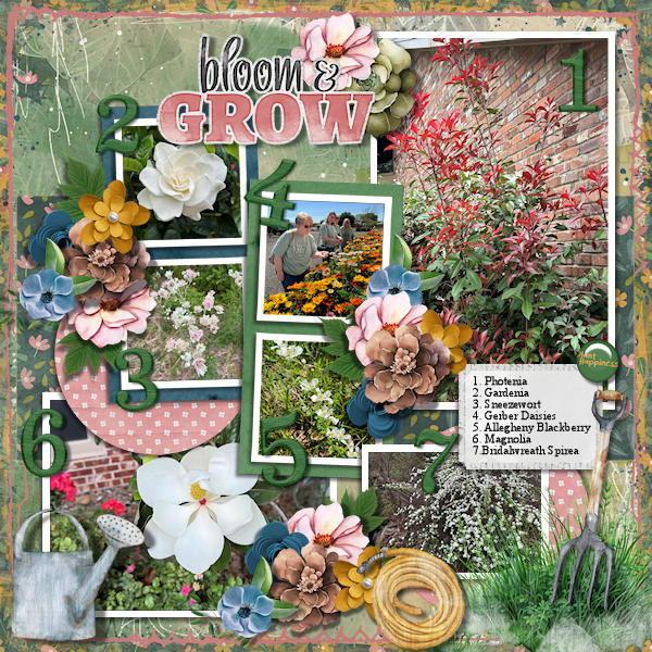 Bloom + Grow