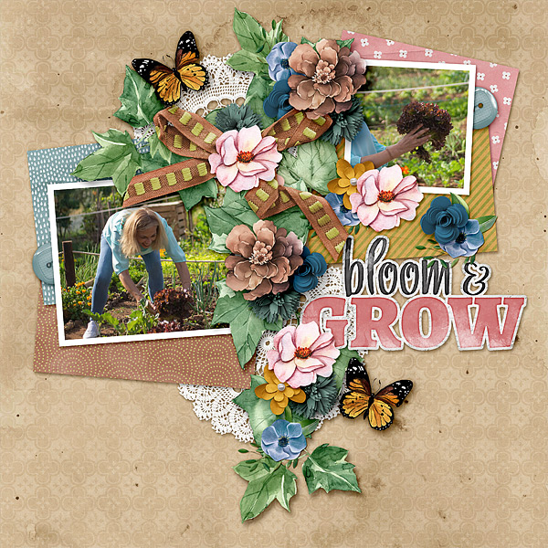 Bloom & Grow
