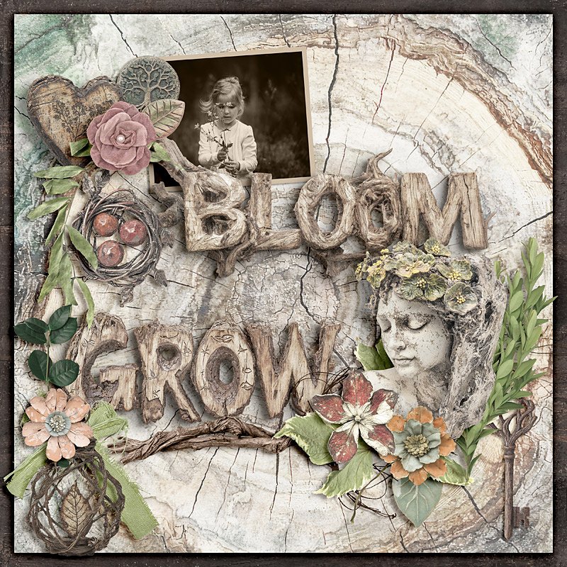 Bloom Grow