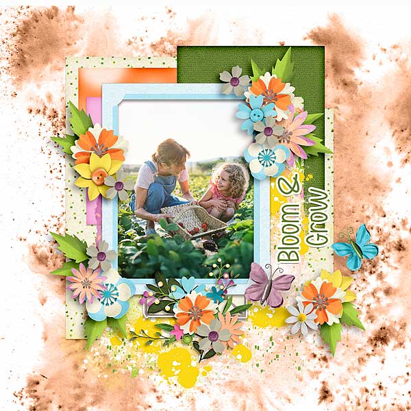 Bloom & Grow