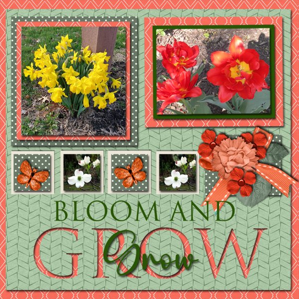 Bloom-&-Grow