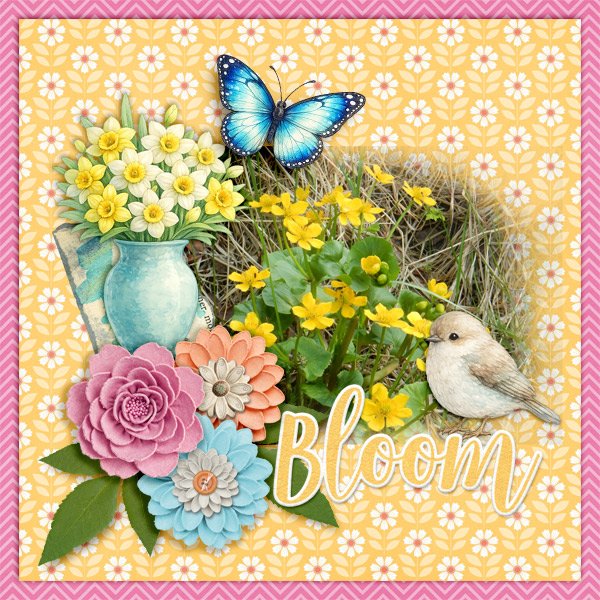 Bloom.jpg
