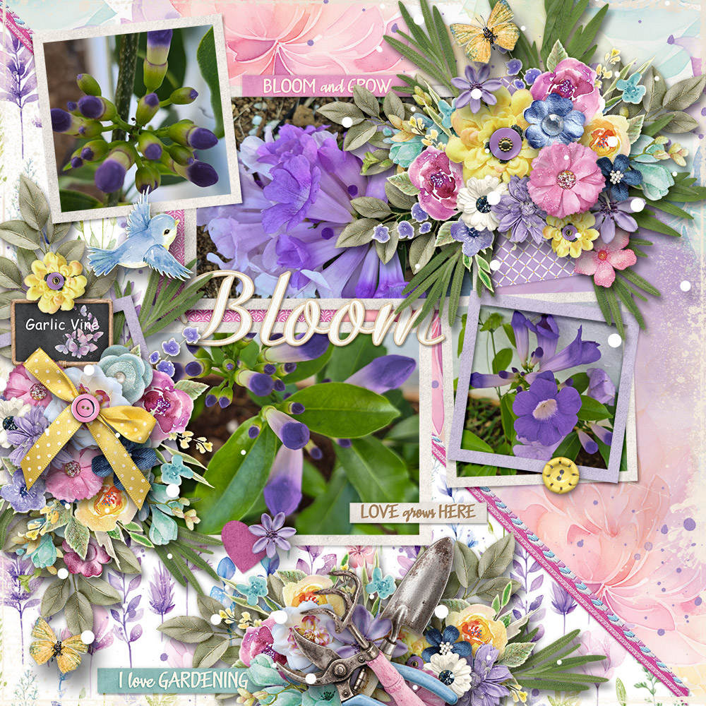 Bloom.jpg