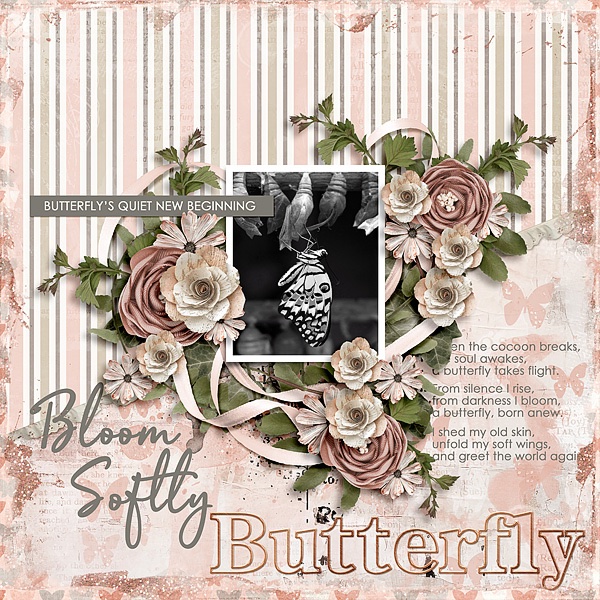 Bloom Softly