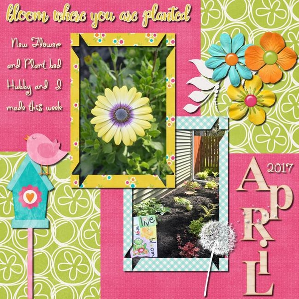 Bloom where planted