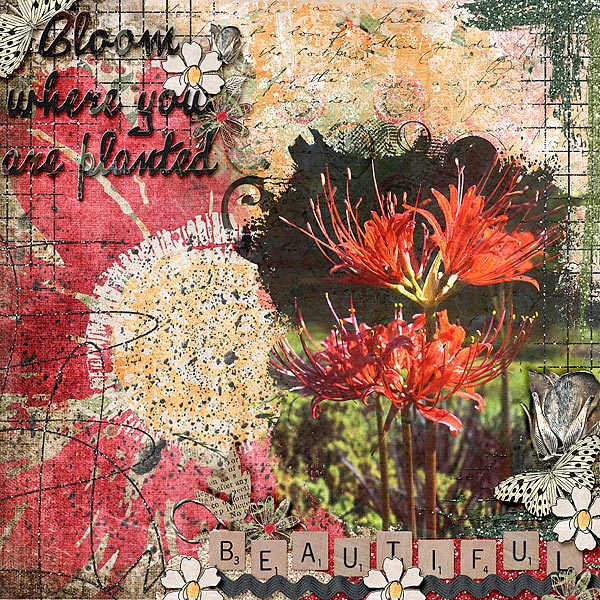Bloom Where You Are Planted