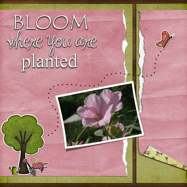 Bloom where you are planted
