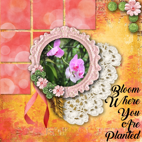 Bloom Where you are planted.