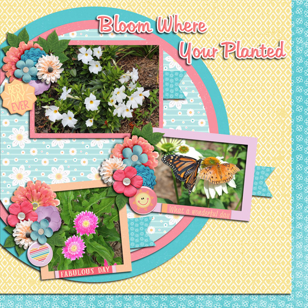 Bloom Where You Are Planted
