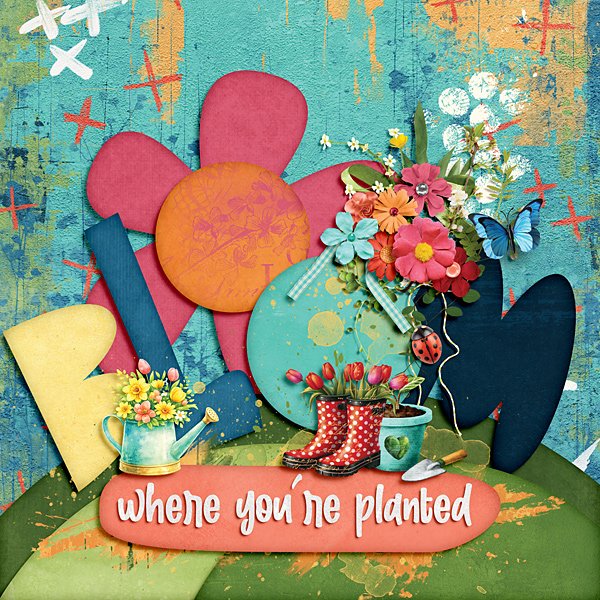 Bloom where you are planted