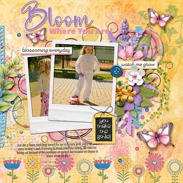 Bloom Where You Are