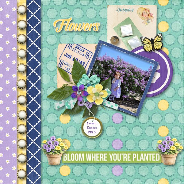 Bloom Where Your Planted