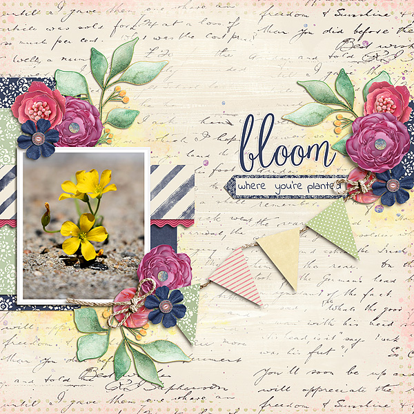 Bloom Where You're Planted