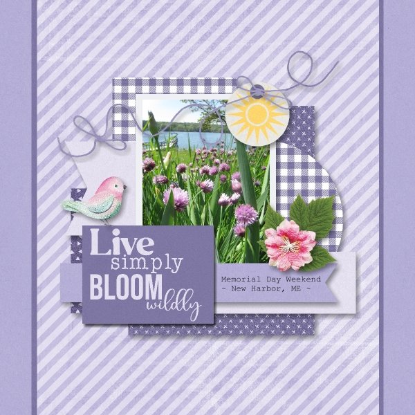 Bloom Wildly - May 2025.jpg