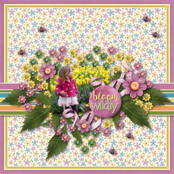 Bloom Wildly