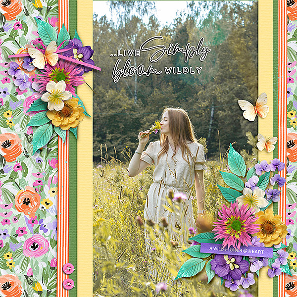 bloom wildly