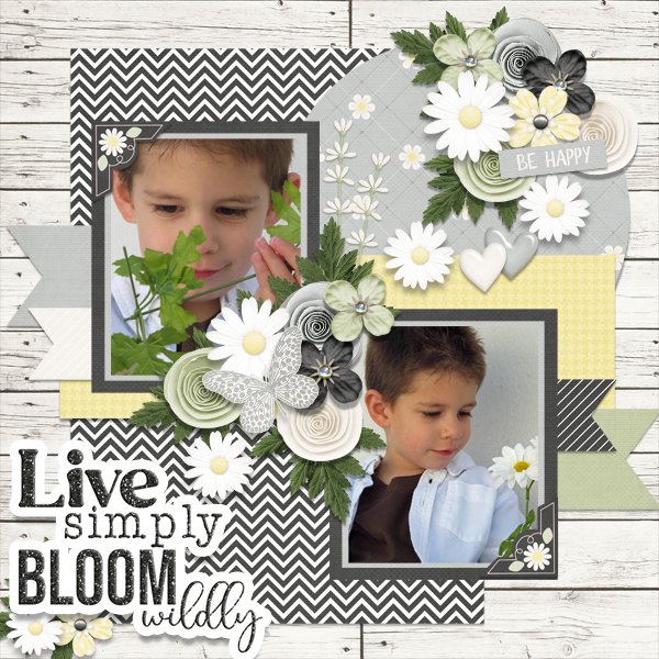 Bloom Wildly