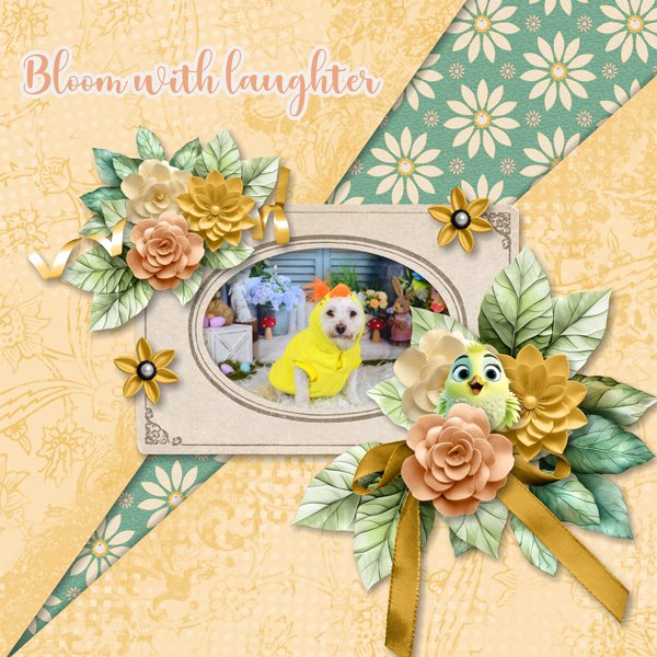 Bloom with Laughter