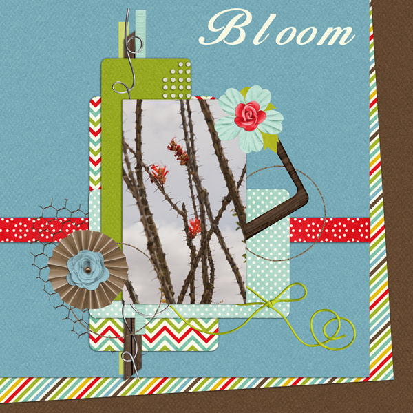 Bloom