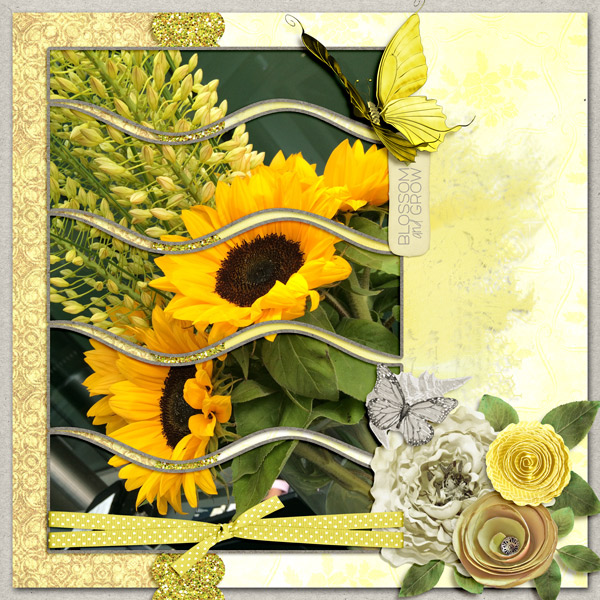 Bloom