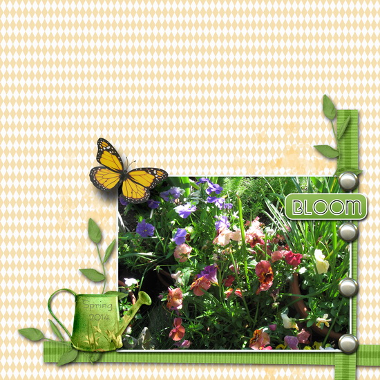 Bloom