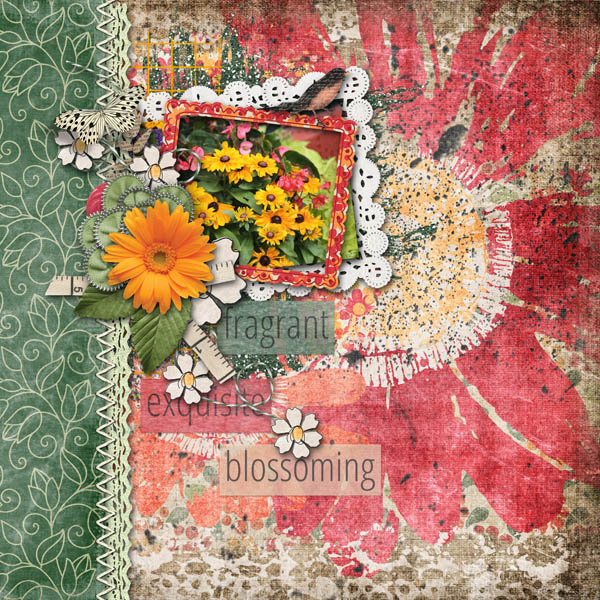 Bloom