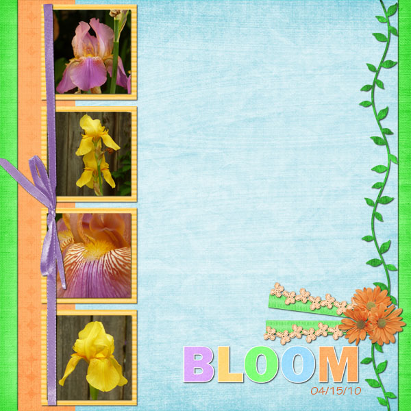 Bloom