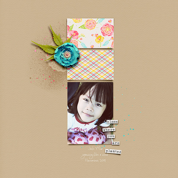 Bloom