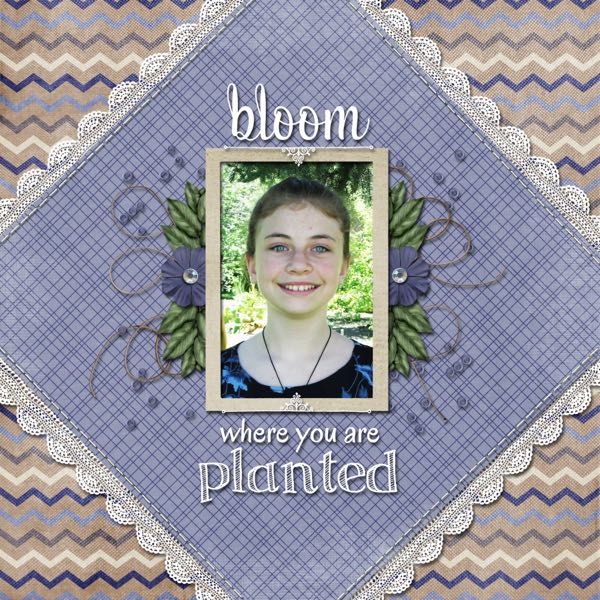 Bloom